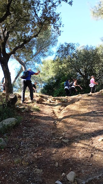 550207251_2636831383315924_3784104548398148999_n