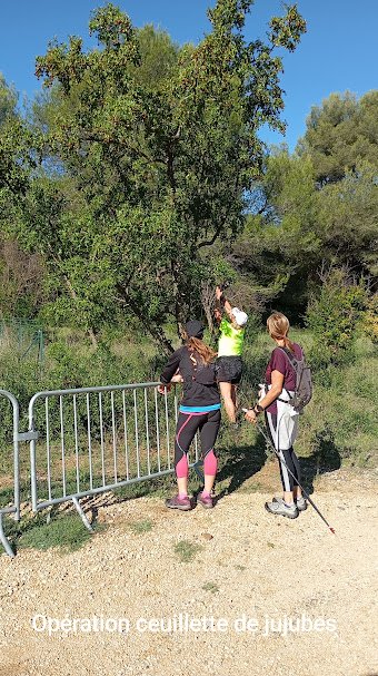 551520837_2636831549982574_895057752615354275_n